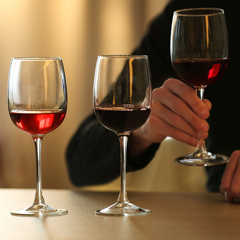 Beginner’s Guide to Understanding Wine what kind to drink taste the difference