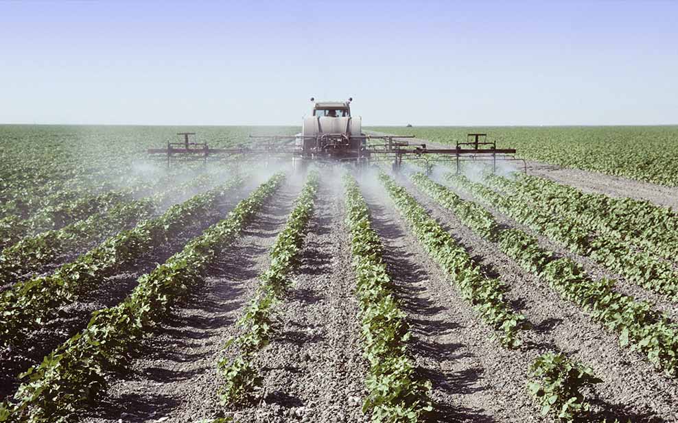 Pesticide on a cotton field