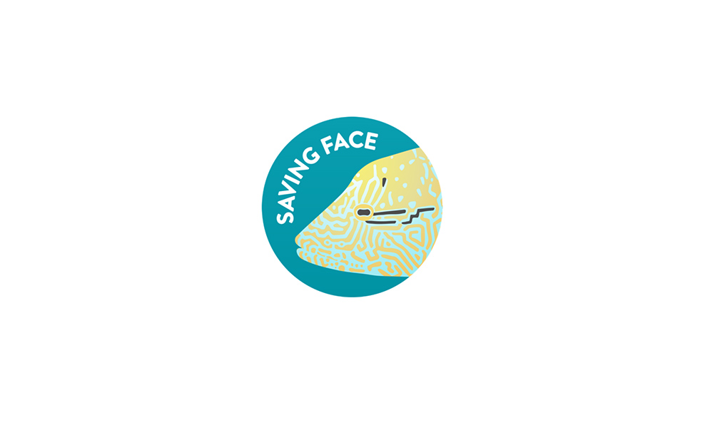 Saving Face