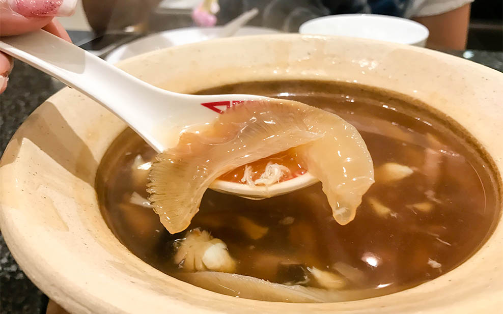 Shark Fin Soup