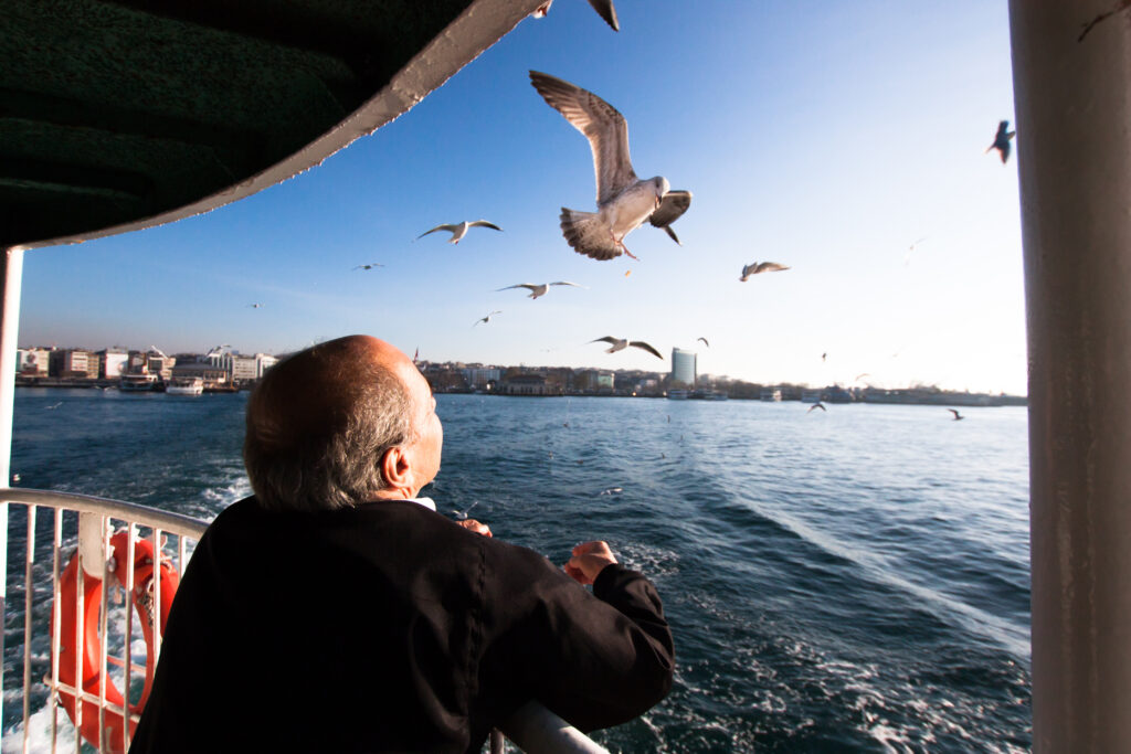 Man and seagulls