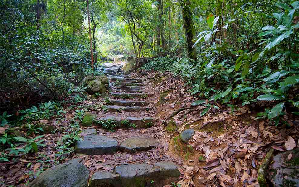 Tai Po Kau