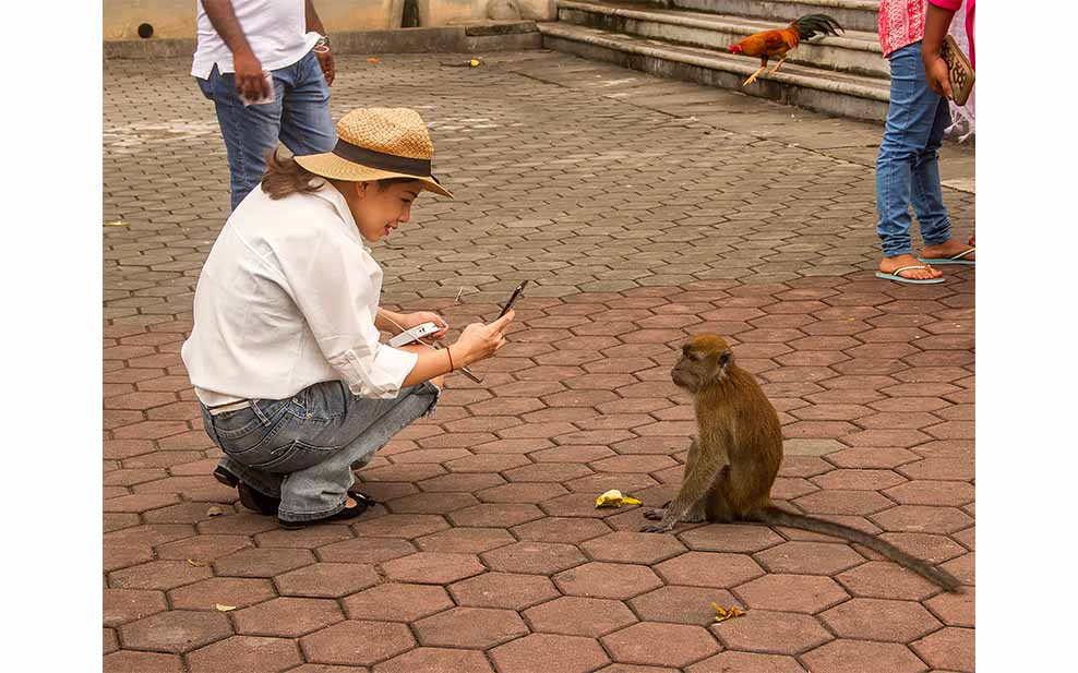 Woman and Monkey