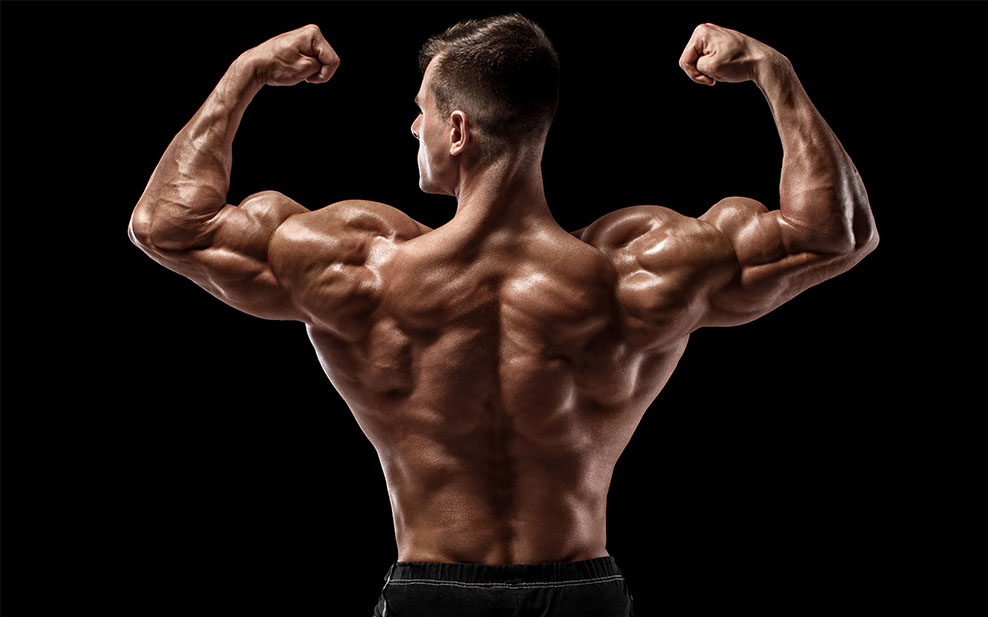 Muscular man showing back muscles, isolated on black background. Strong male rear view