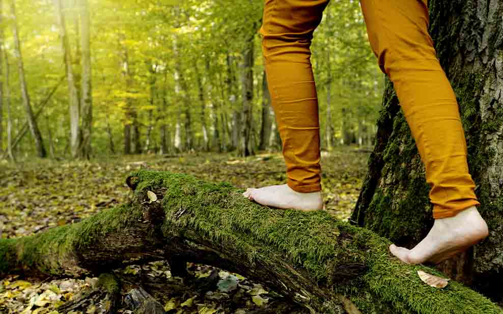 Woman in yellow trousers is walking barefoot on mossy tree trunk in autumnal forest area. Mindful walk and nature connection.