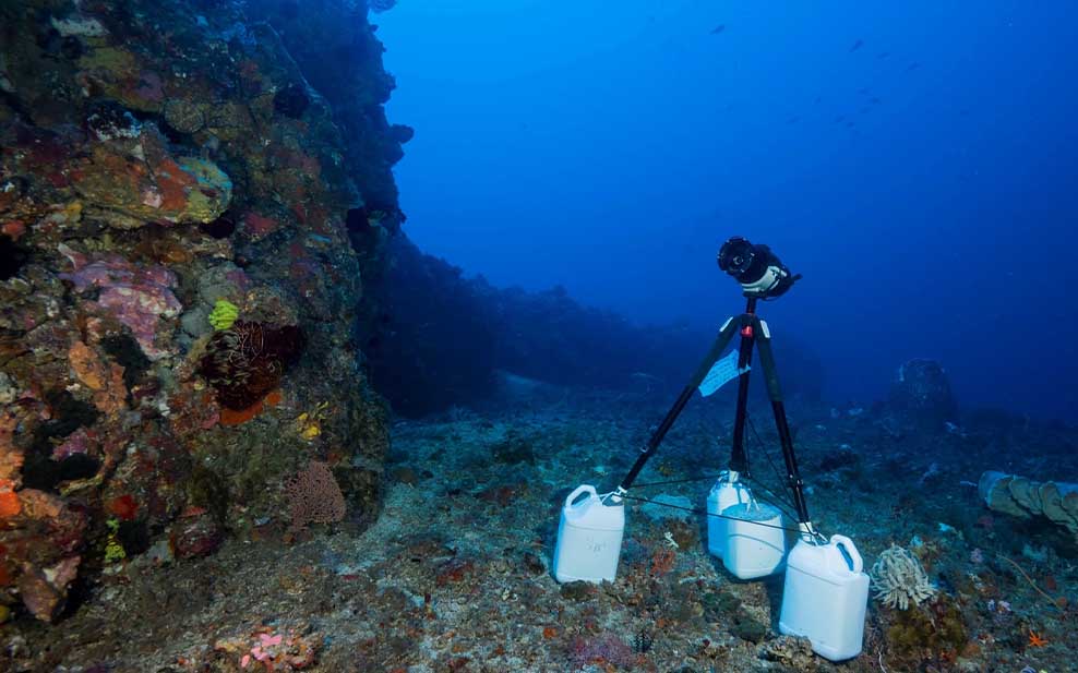 Open Ocean Cam can film even in some of the deepest and most hard-to-reach areas of the ocean (Photo Credit: ©Alexis-Chappuis-UNSEEN-Expeditions)
