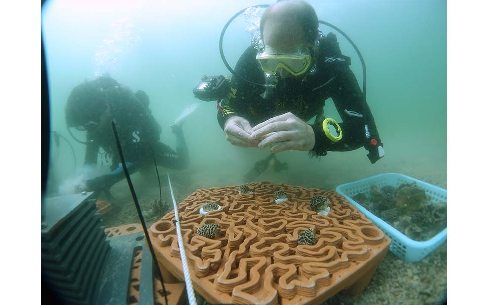 Restoring corals (Photo Credit: AFCD)