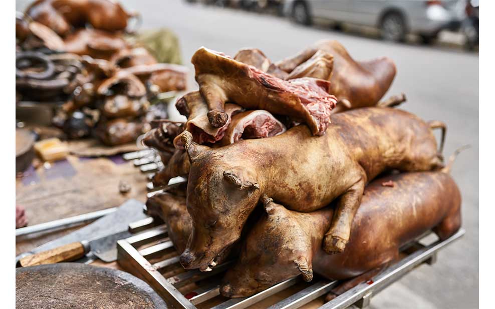 Roasted dogs in Hanoi, Vietnam.