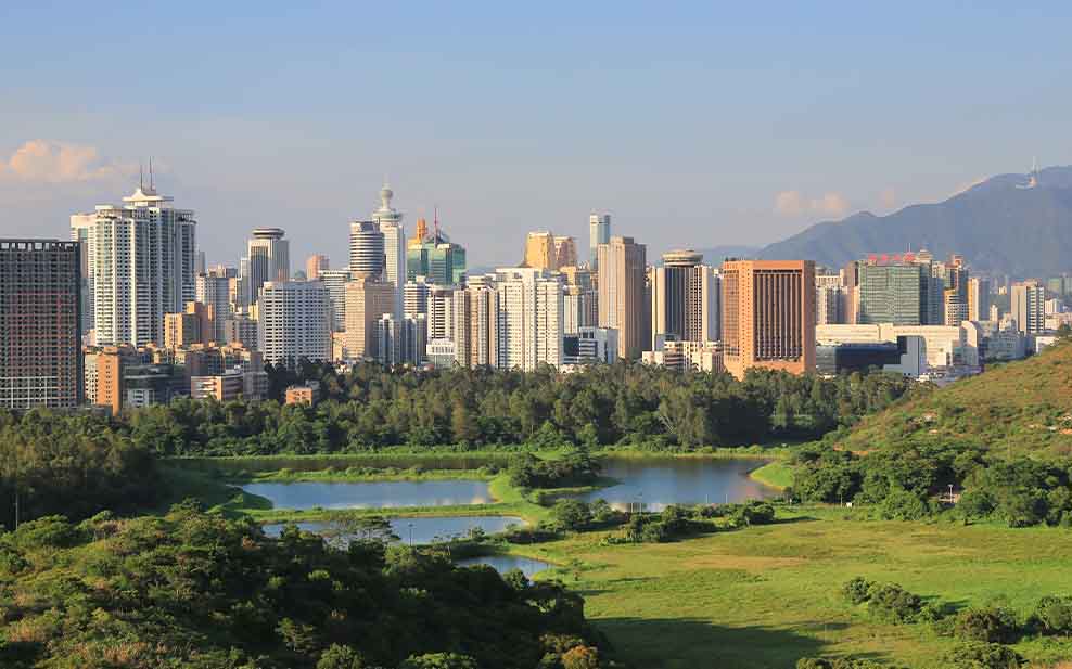 Hong Kong's own wetlands are under constant threat from urban developers.