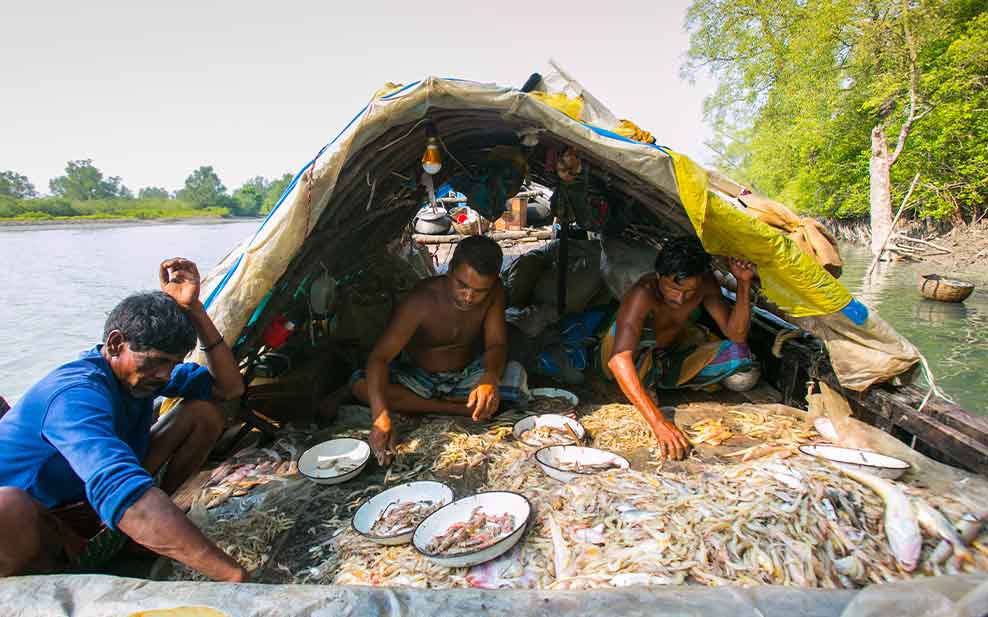 People in the Sundarbans rely on their local mangrove swamps for many of their resources.