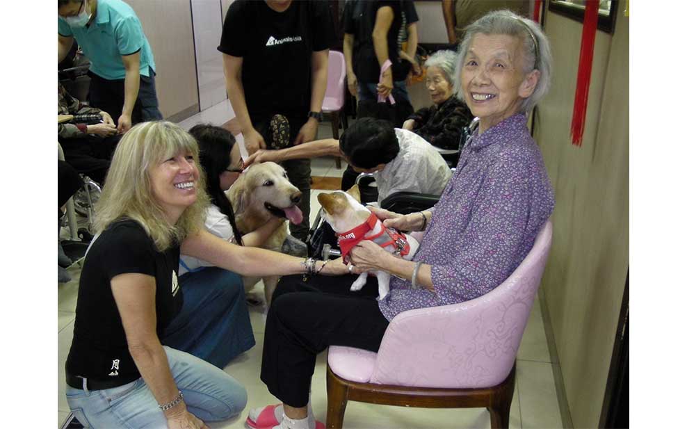 Doctor Dog: The Healing Power of Animal Therapy - WELL, Magazine