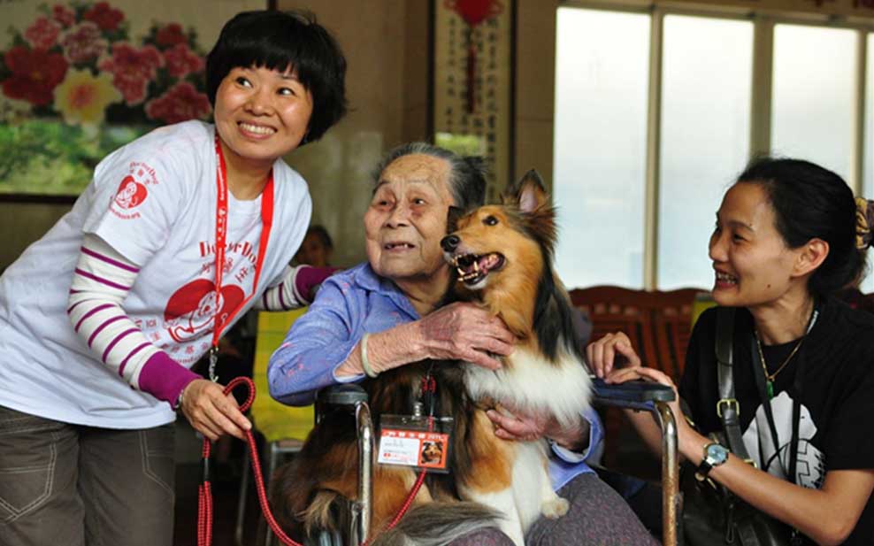 For lonely old people, Doctor Dog visits are a great source of comfort.