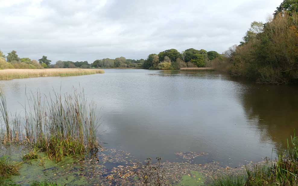 Knepp Mill Pond