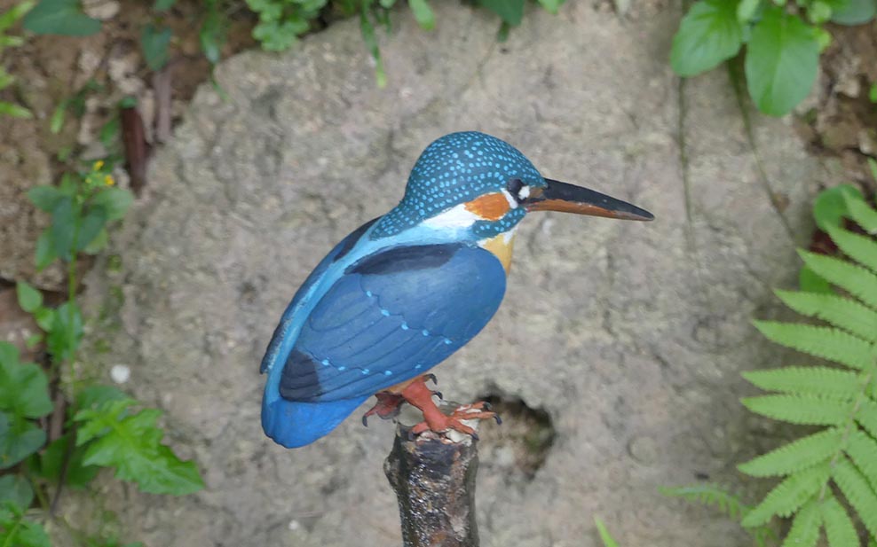 Model Kingfisher