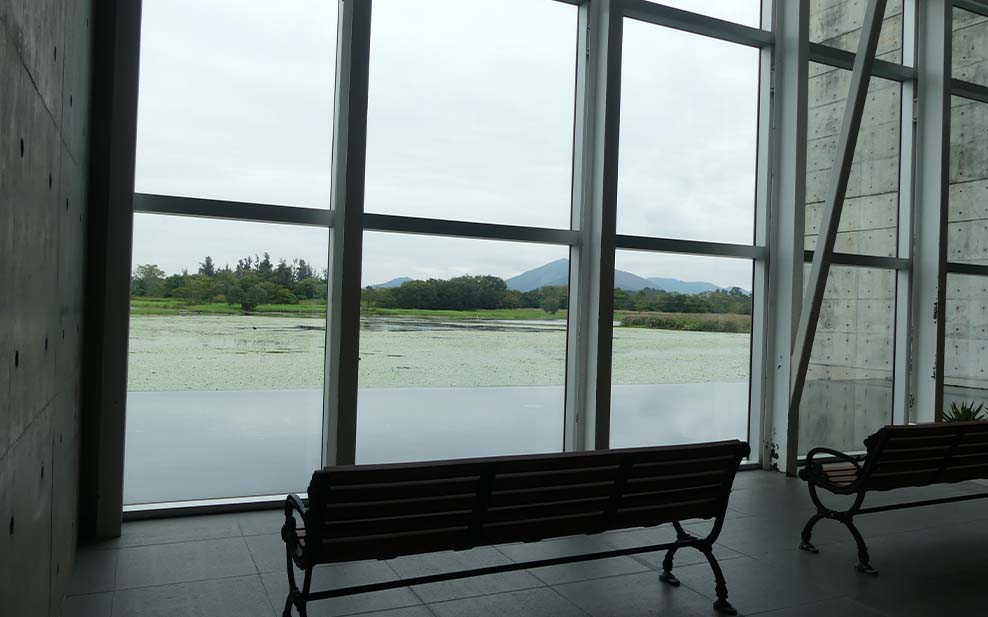 The windows of the Visitor Centre look out on a large pond, good for birdwatching.