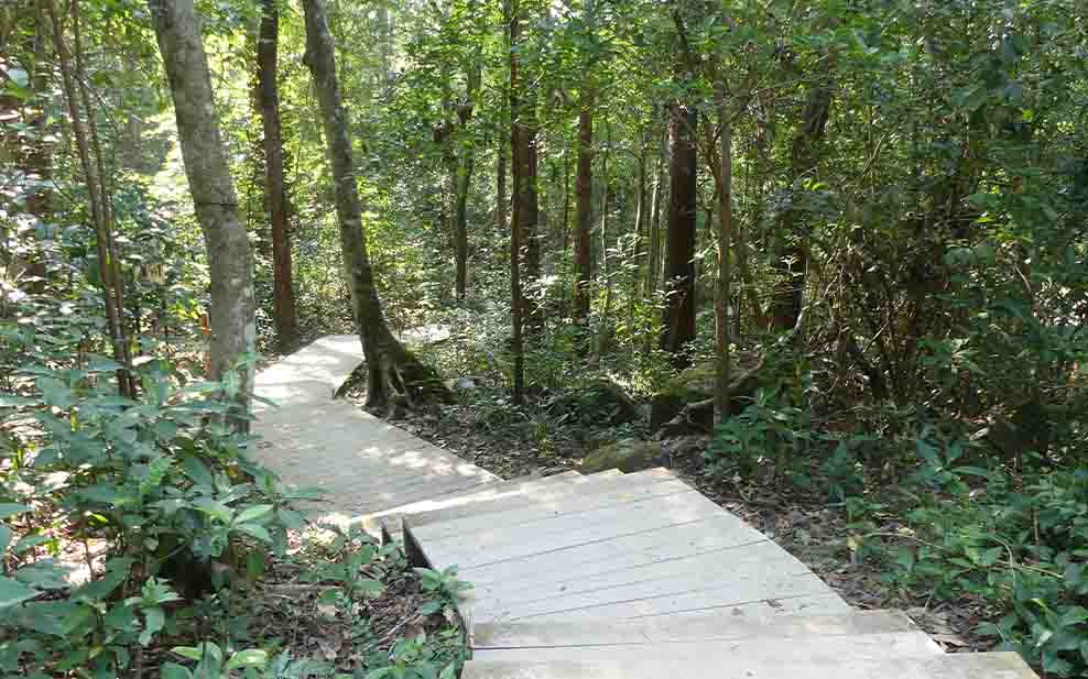 Tsiu Hang Nature Trail